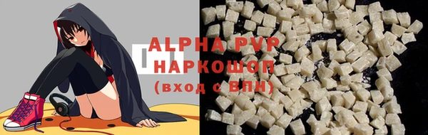 стафф Надым