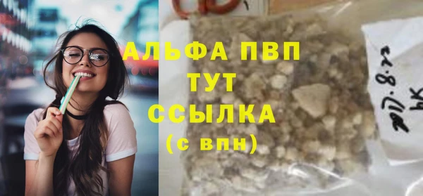 стафф Надым