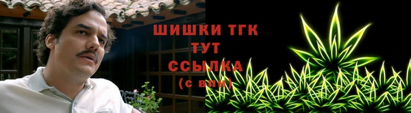 стафф Надым