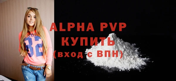 стафф Надым