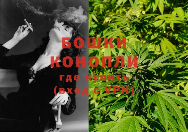 стафф Надым