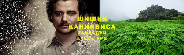 стафф Надым
