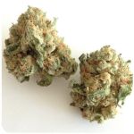 Шишки "White Widow"  (Белая вдова)  Гидропоника -  Бошка VHQ в Струнино